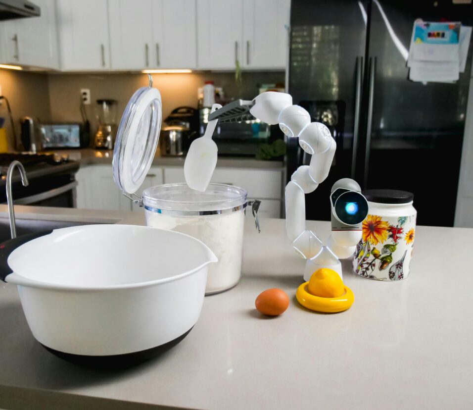 AI application in home in 2025